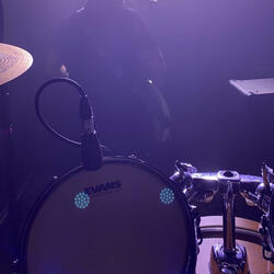 Circulation (Demo)