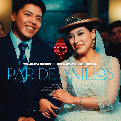 Par de anillos