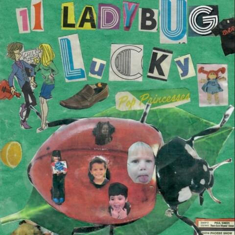 11 Ladybug Lucky