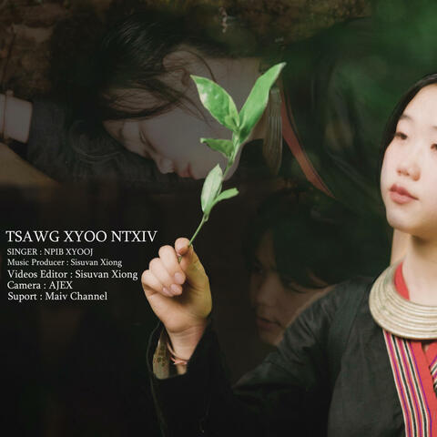 Tsawg Xyoo Ntxiv (feat. Npib Xyooj)