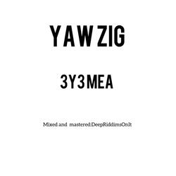 3y3 Mea
