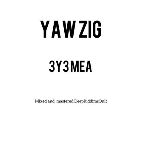 3y3 Mea