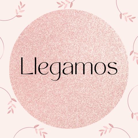 Llegamos