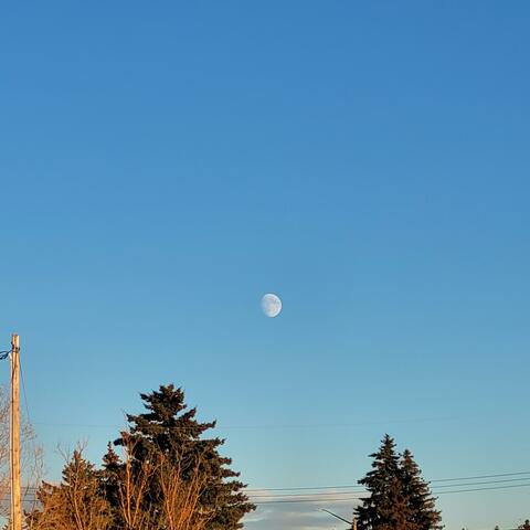 Daylight Moon