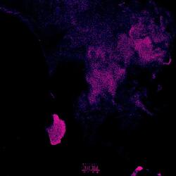 kome outside (feat. Brezzo & Ninexteen)