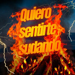 Quiero sentirte sudando (feat. Dj Alex Del Callao & Dj caleta)