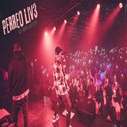 PERREO LIV3