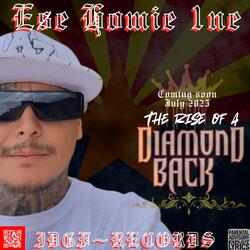 WELCOME TO THE SOUTHWEST (Radio Edit)