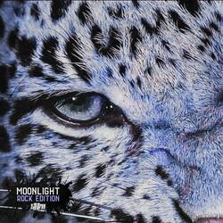 Don't Look, Don't Touch (Rock Version)