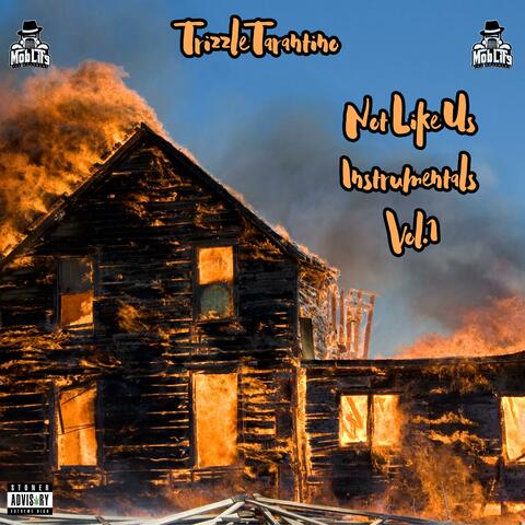 Not Like Us Instrumentals, Vol. 1