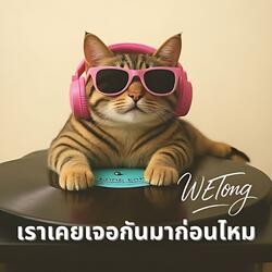 เราเคยเจอกันมาก่อนไหม