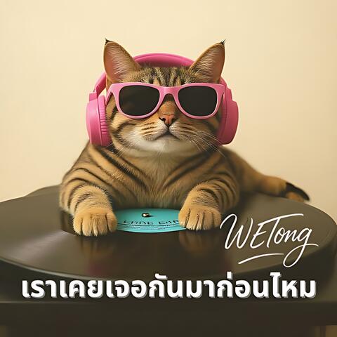 เราเคยเจอกันมาก่อนไหม