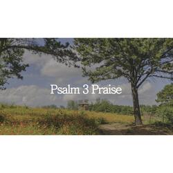 Psalm 3 Praise