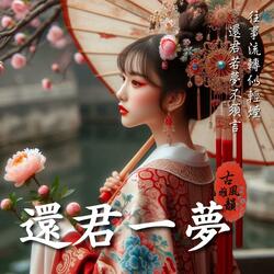 還君一夢 One Last Dream for You