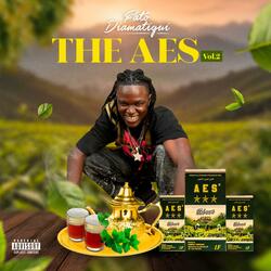 THE AES vol 2