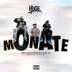 Monate (feat. Luna Florentino & Nic Jay)
