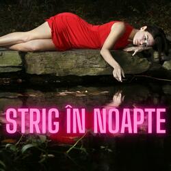 Strig în noapte (feat. ALEYA & Razor)