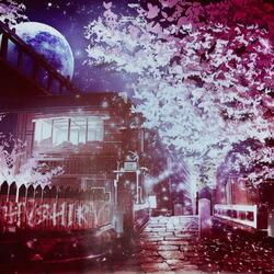 Outta Pocket (feat. Omen Apollo & Intel The Brain)