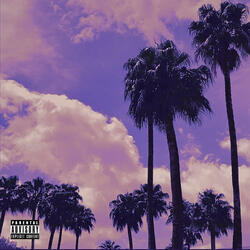 NOCHE VIOLETA