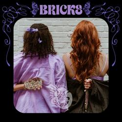 Bricks
