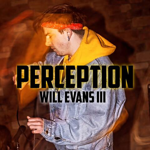 Perception