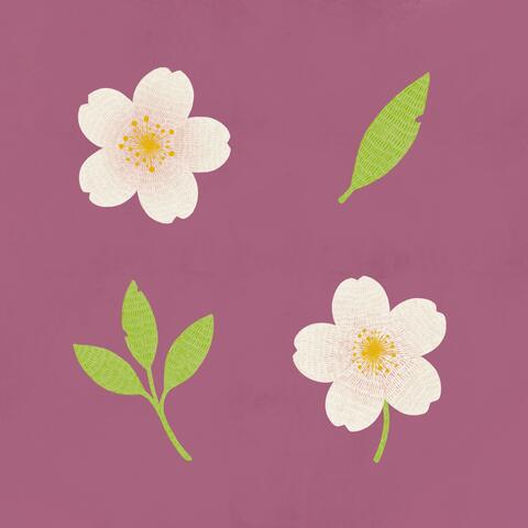 cherry waltz