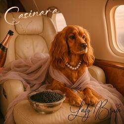 Non fare la sbudellona