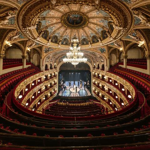 奇矯な劇場のワルツ