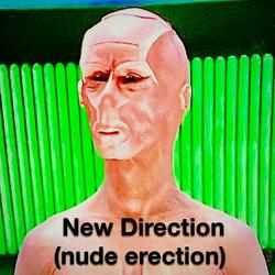 New Direction (nude erection)