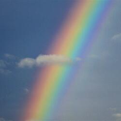 Follow Me (To Rainbow Island)