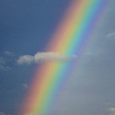 Follow Me (To Rainbow Island)