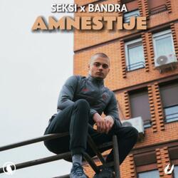Amnestije