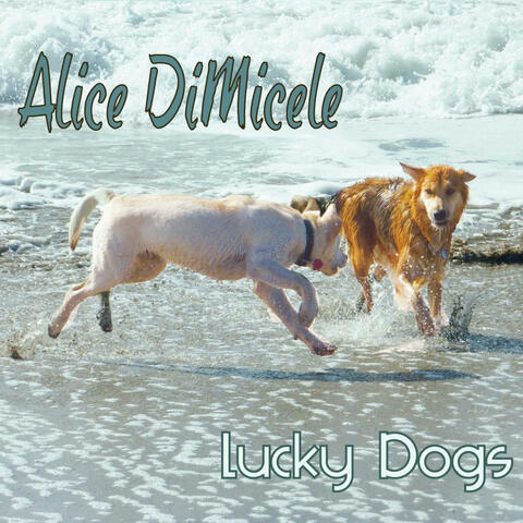 Lucky Dogs