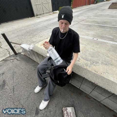 Voices