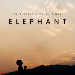 Elephant (feat. Kunal Singh) (Radio Edit)