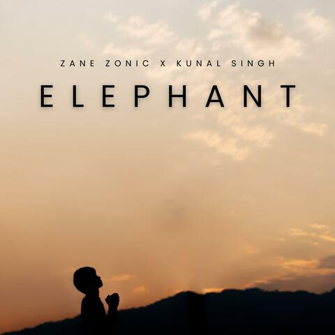 Elephant (feat. Kunal Singh) [Radio Edit]