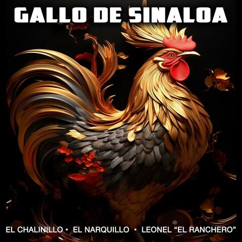 Gallo De Sinaloa (feat. El Narquillo & La Nueva Rebelion)