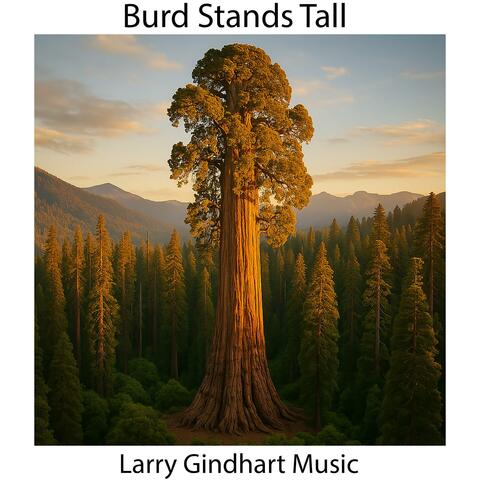 Burd Stands Tall