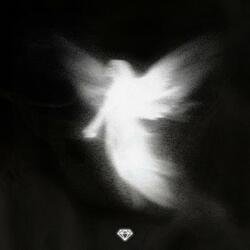 Angels And Demons
