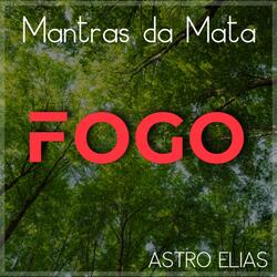 FOGO. 55515.