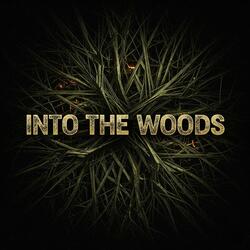 Into The Woods (Afro Tech)