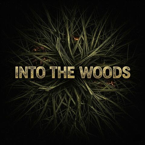 Into The Woods (Afro Tech)