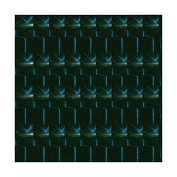 goat (BEAT THE FUTURE wasn't selected)