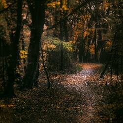 slow burner ∘ ambient simmer