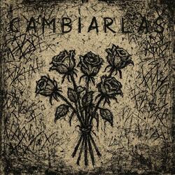 CAMBIARLAS