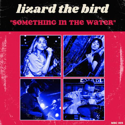 Something in the Water