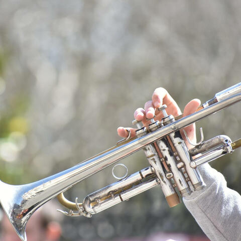 SHAPE OF MY HEART TRUMPET