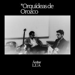 Orquídeas de Orozco