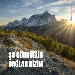 ŞU GÖRDÜĞÜN DAÜLAR BİZİM
