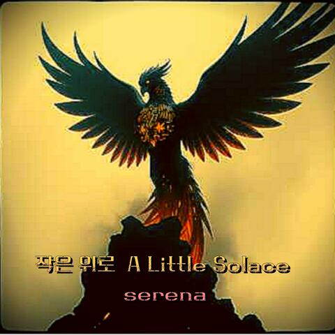 작은 위로 A Little Solace